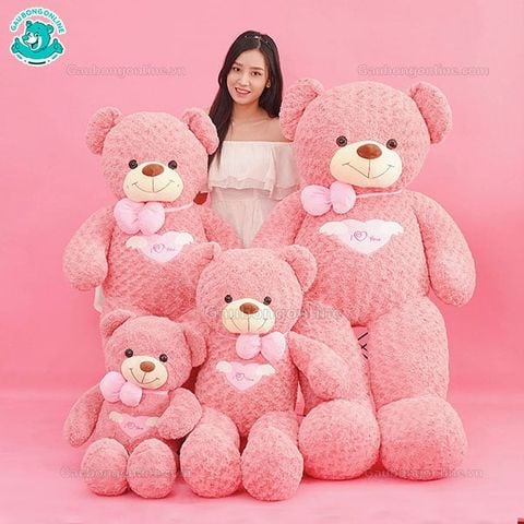 Gấu bông Teddy - Angel Hồng