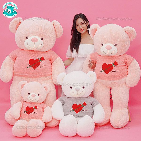 Gấu Bông Teddy Áo Tim Hoa ILU