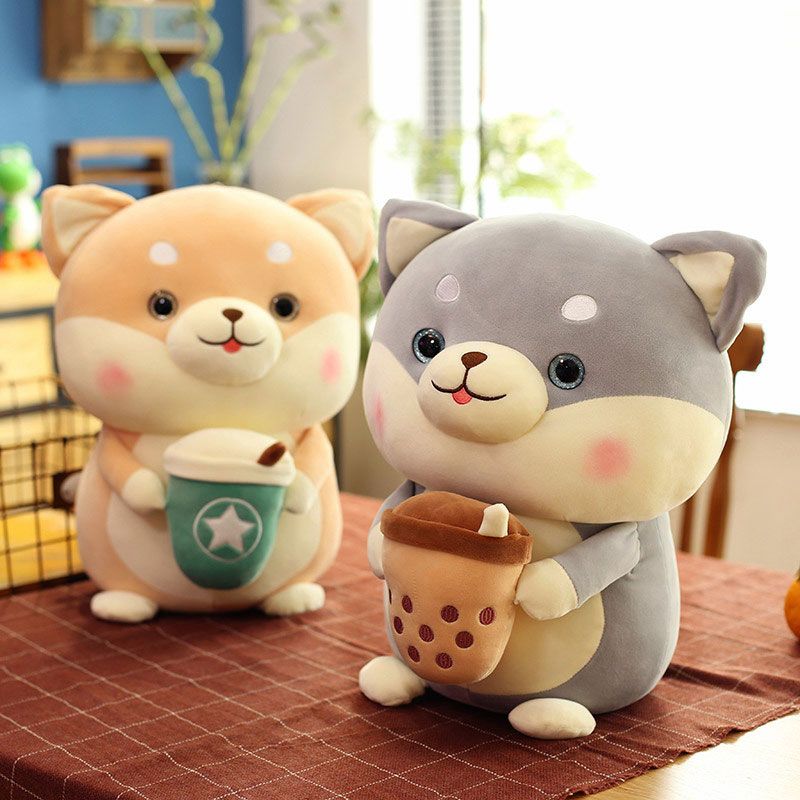 Chó Shiba Ôm Trà Sữa