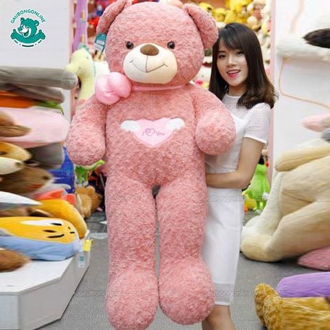 Gấu bông Teddy - Angel Hồng 1m6 & 1m4