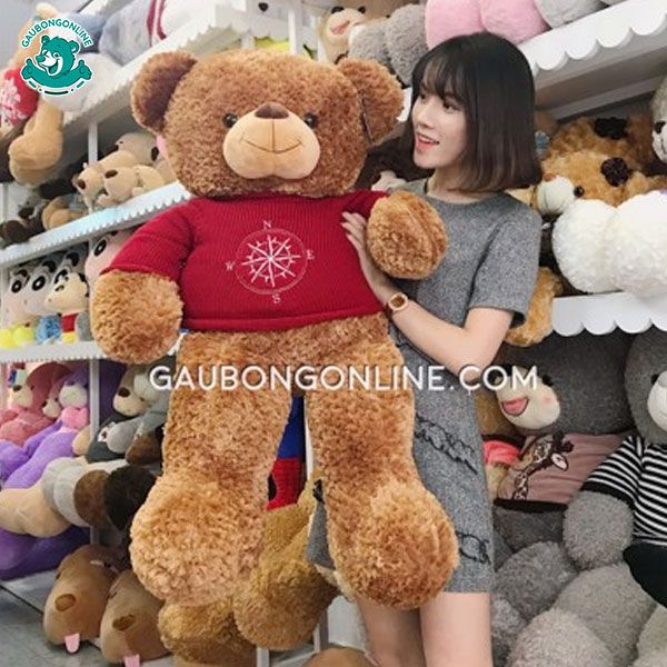 Gấu bông Teddy- Áo La Bàn