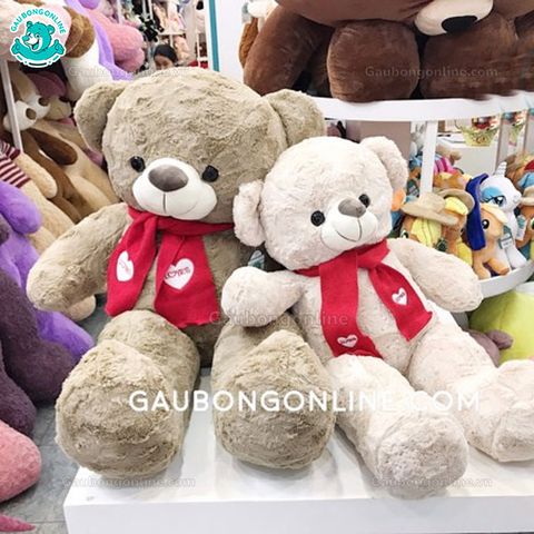 Gấu bông Teddy- Khăn Love