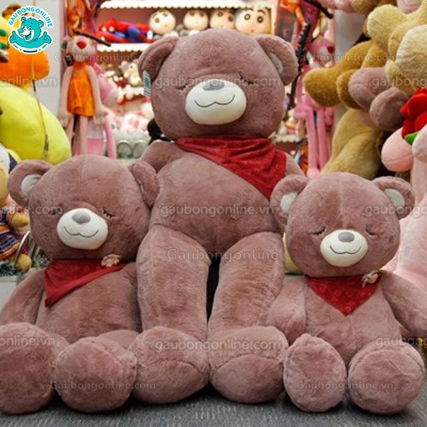 Gấu bông Teddy Khăn Ngủ