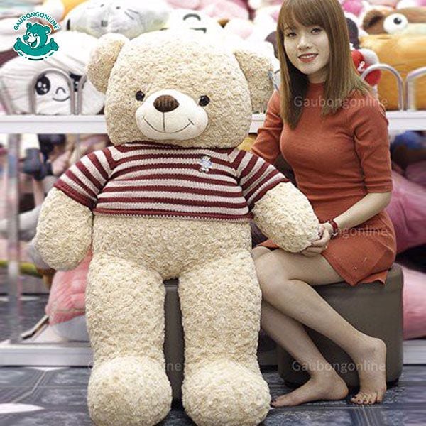 Gấu bông Teddy - Logo Baby 1m6 & 1m4