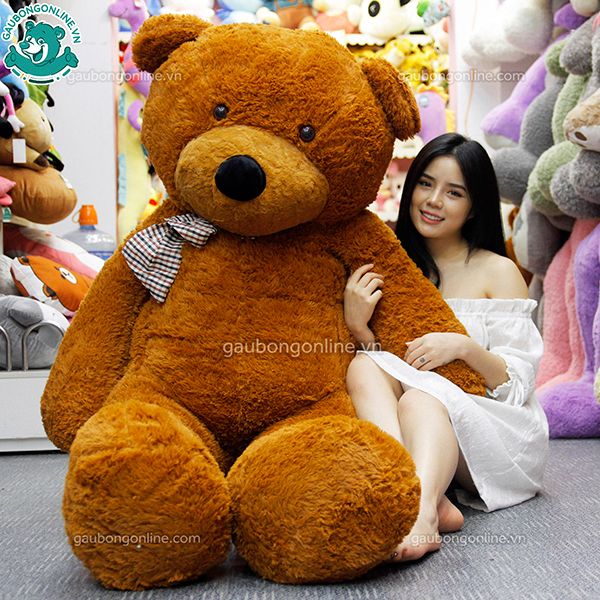 Gấu bông Teddy- Nâu Nhập