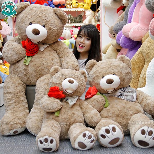 Gấu bông Teddy- Ôm Hoa