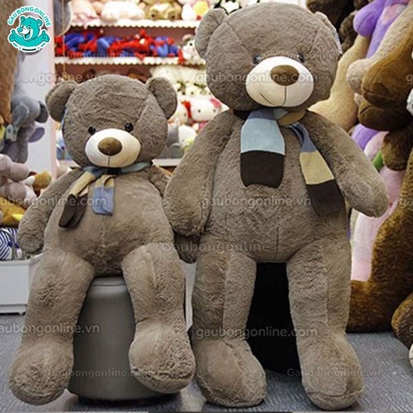 Gấu bông Teddy- Cosco Khăn