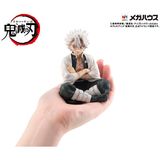  G.E.M. Series Demon Slayer : Kimetsu no Yaiba Palm Size Shinazugawa - san 