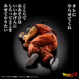  Dragon Ball Z - Yamcha - High Grade Real Figure 