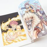  Fairy Tail Illustrations 