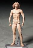  Figma - The Table Museum: Vitruvian Man 