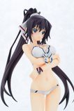  Houki Shinonono Swimsuit Ver 1/7 