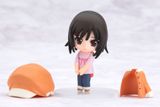  Nendoroid Petite: Bakemonogatari Set #2 