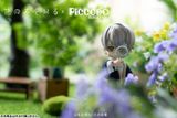  PICCODO Hana nomizo Shiru Shouta Misaki Deformed Doll 