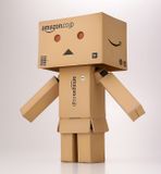  Revoltech Danbo Amazon Box Version 