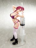  World's End Harem Akane Ryuzoji Dress-up Nurse Figure 1/6 