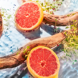  Roja Elysium Pour Homme Cologne 