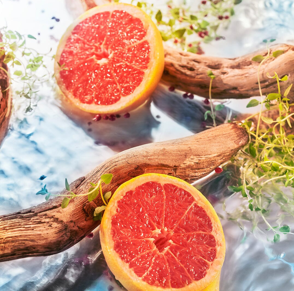  Roja Elysium Pour Homme Parfum 