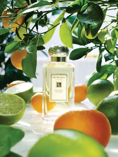  Nước hoa Jo Malone Lime Basil & Mandarin Cologne 