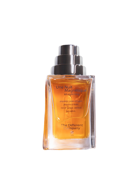  The Different Company Une Nuit Magnétique - All Night Long 