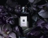  Nước hoa Jo Malone Dark Amber & Ginger Lily Cologne 