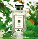  Nước hoa Jo Malone Basil & Neroli Cologne 
