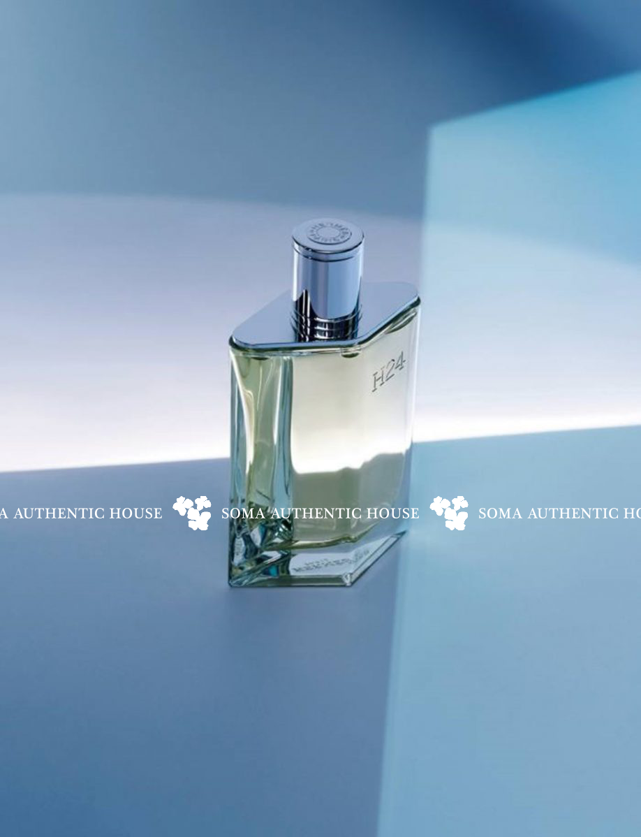  Hermes H24 