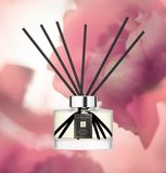  Tinh dầu khuyếch tán Jo Malone Scent Surround Diffuser Peony and Blush Suede 