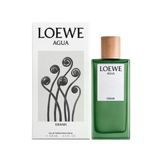  Loewe Agua Miami 