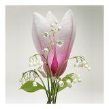  Nước hoa Louis Vuitton Apogée 