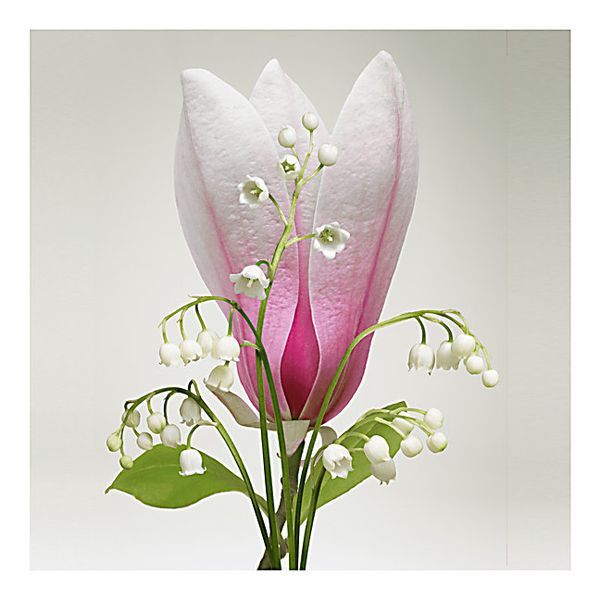  Nước hoa Louis Vuitton Apogée 