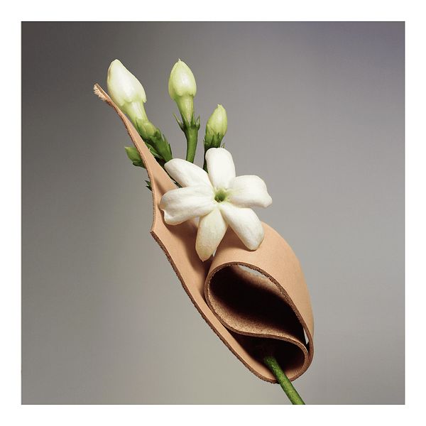  Nước hoa Louis Vuitton Dans la Peau 