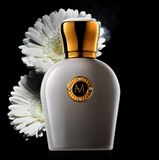  Moresque Moreta 
