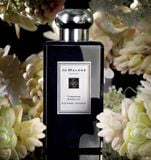  Nước hoa Jo Malone Tuberose Angelica Cologne 