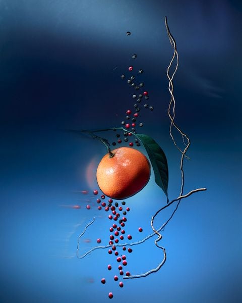  Louis Vuitton Météore 