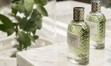  Nước hoa Bottega Veneta Parco Palladiano V 