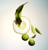  Louis Vuitton Sur La Route 