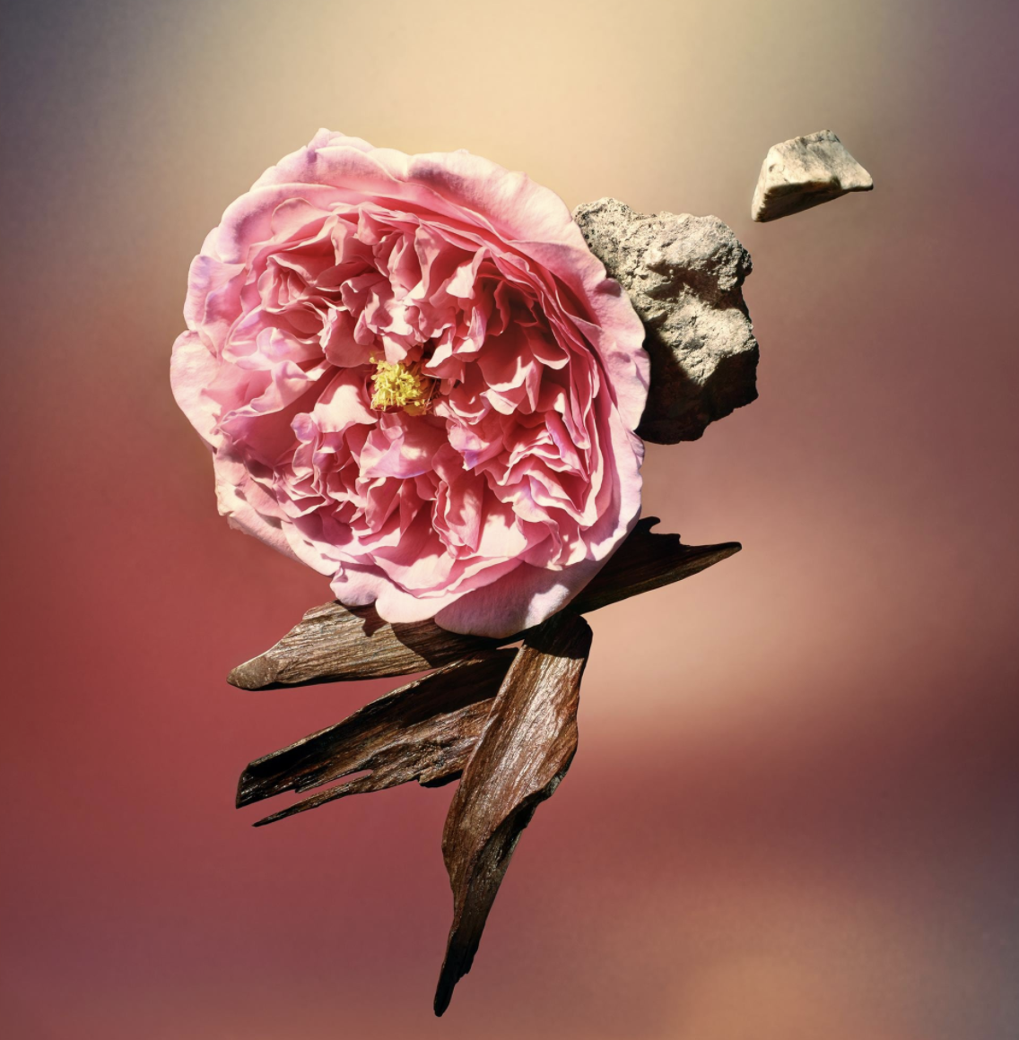 The Ultimate Flacon  Rose des Vents  Exceptional Creations  LOUIS VUITTON