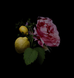  Clive Christian 1872 Feminine 