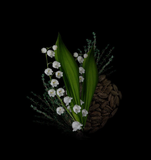  Clive Christian No.1 Masculine 