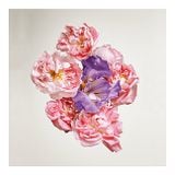  Nước hoa Louis Vuitton Rose Des Vents 