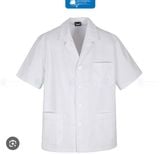Áo Blouse