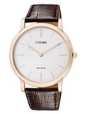 Đồng Hồ Citizen AR1113-12A