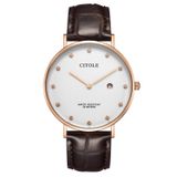 Đồng hồ Citole CT10008GNWR