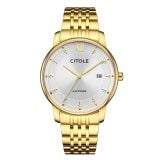 ĐỒNG HỒ CITOLE CT5251GGSG