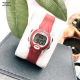 ĐỒNG HỒ PASNEW PSE-243