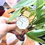 ĐỒNG HỒ HANNAH MARTIN CH36-WJJ