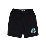 /stroke/ BIG LOGO MESH SHORT™