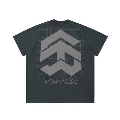 /public icon/ BIGLOGO SQUARE TEE™