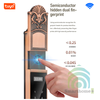 Khóa Cửa Nhôm Xingfa Tân Cổ Điển 2 Mặt Vân Tay Chống Nước IP68 Wifi Tuya SHP-DLS9Gv6